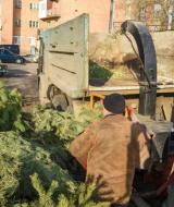 Розумний підхід до утилізації новорічних ялинок розв’язує одразу декілька проблем.